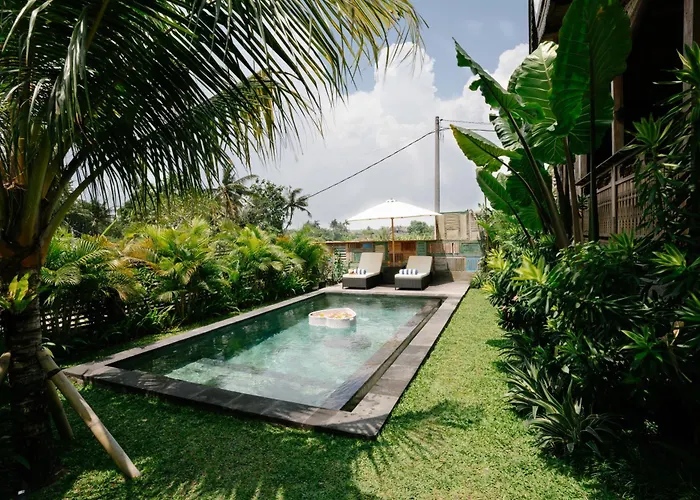 Seseh Retreat Villa Canggu (Bali)